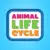 Animal Life Cycle