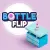 Bottle Flip