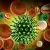 Coronavirus Puzzle