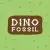 Dino Fossil