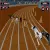 Real Dog Racing Simulator Game 2020